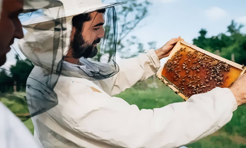 طريقة استخدام الذكاء الصناعي في زيادة إنتاجية النحل وحمايته